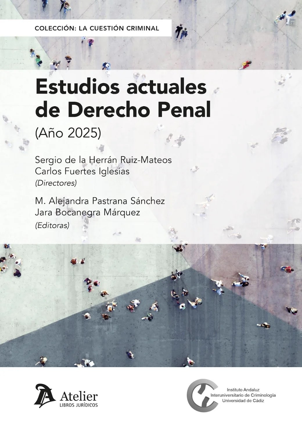 Estudios actuales de Derecho penal 