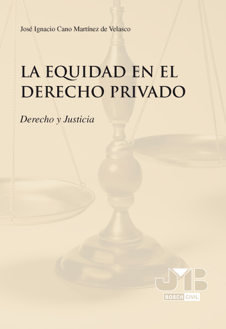 La equidad en el derecho privado. 9788476988879