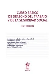 Curso básico de Derecho del Trabajo y de la Seguridad Social. 9791370109578