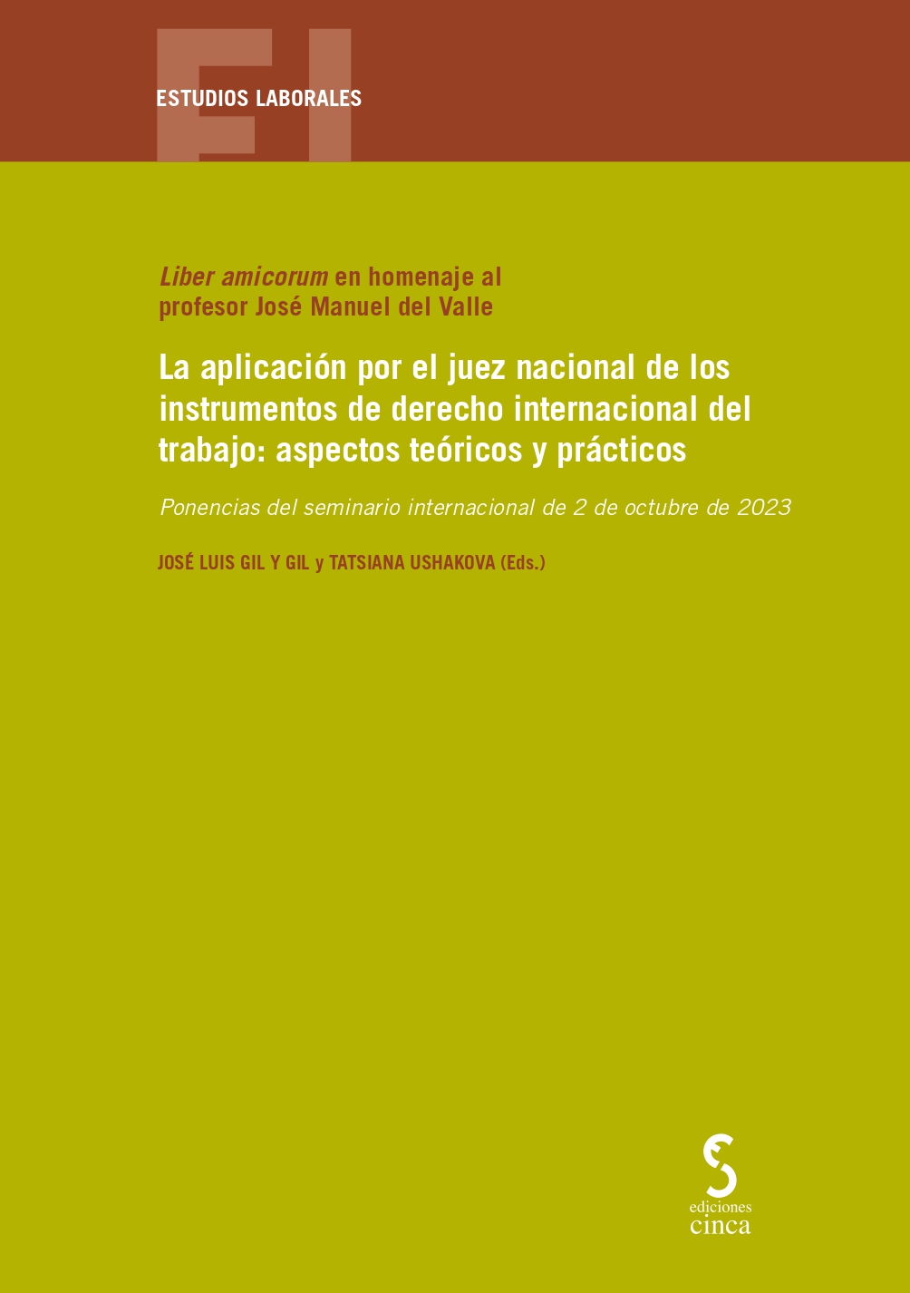 Liber amicorum en homenaje al profesor José Manuel del Valle. 9788410167537