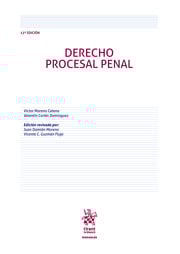 Derecho Procesal Penal