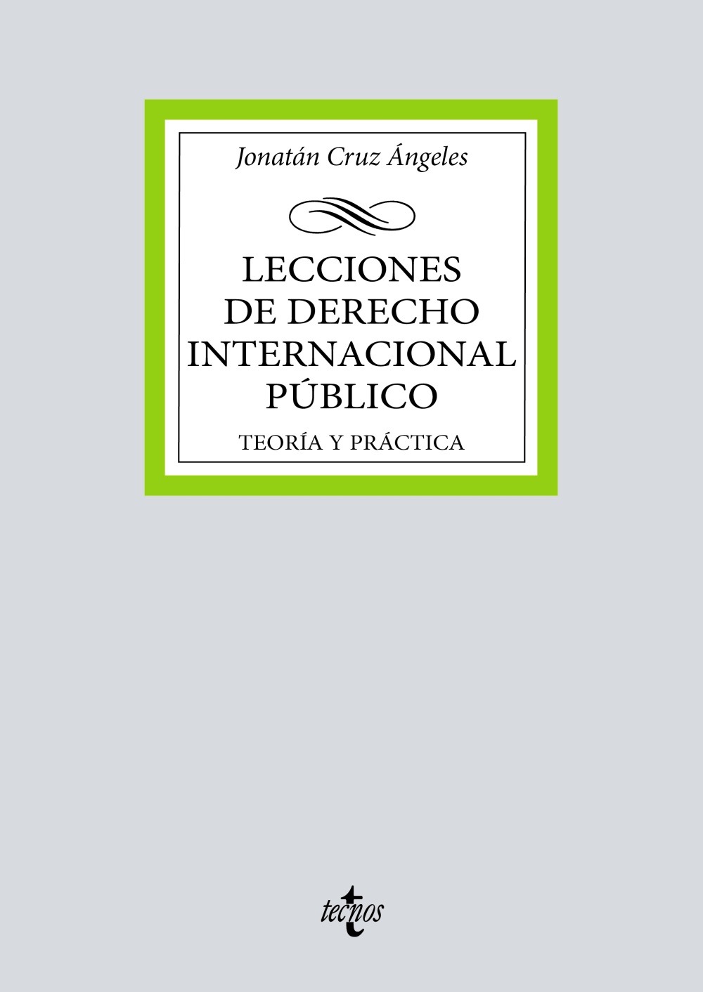 Lecciones de Derecho Internacional Público. 9788430980345
