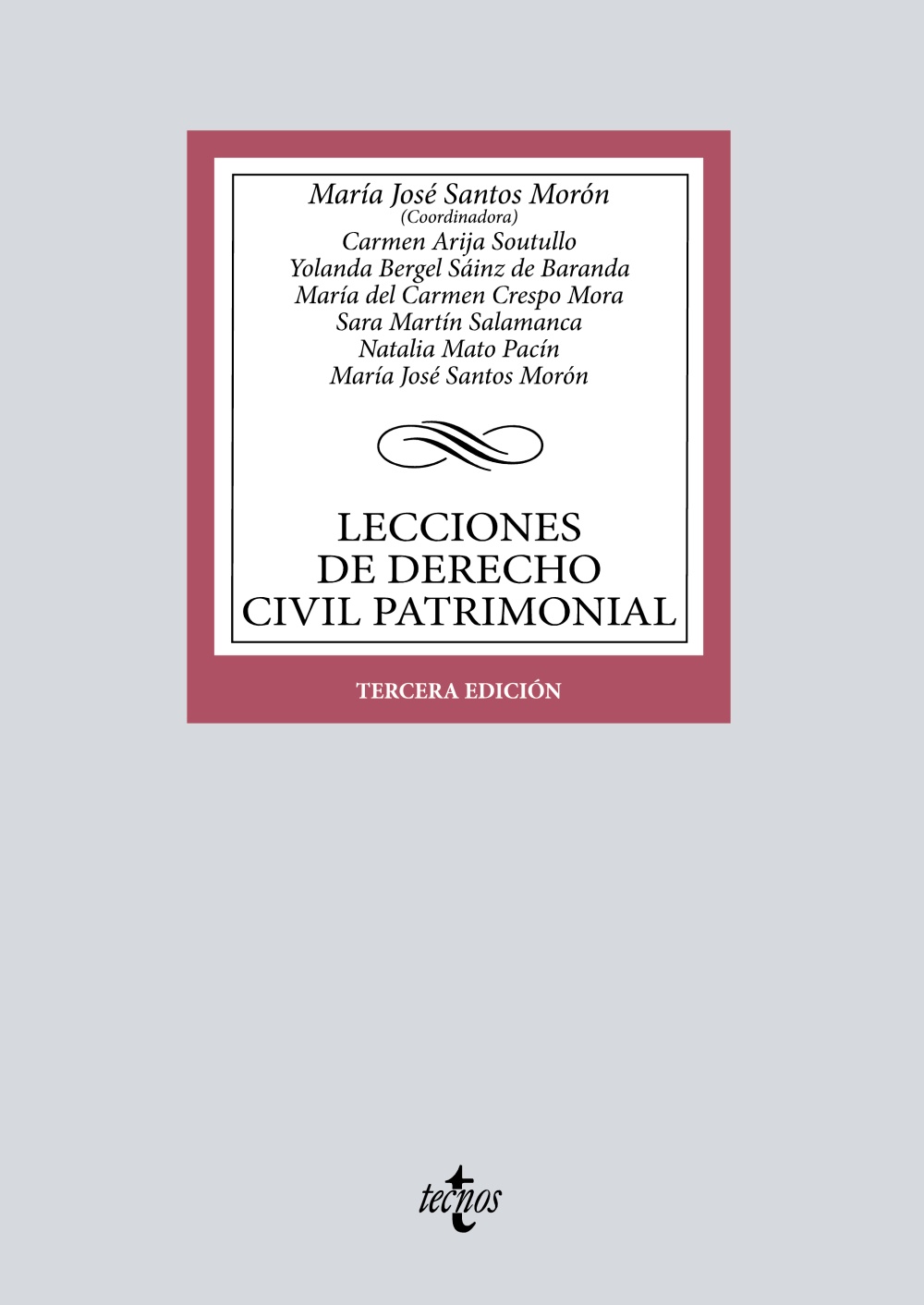 Lecciones de Derecho civil patrimonial. 9788430985869