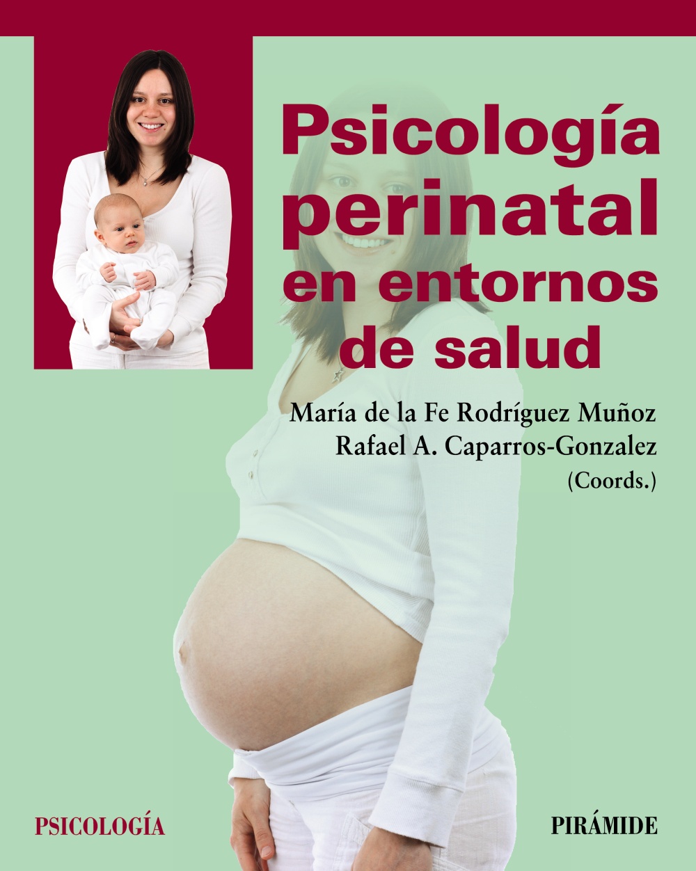 Psicología perinatal en entornos de salud. 9788436846386