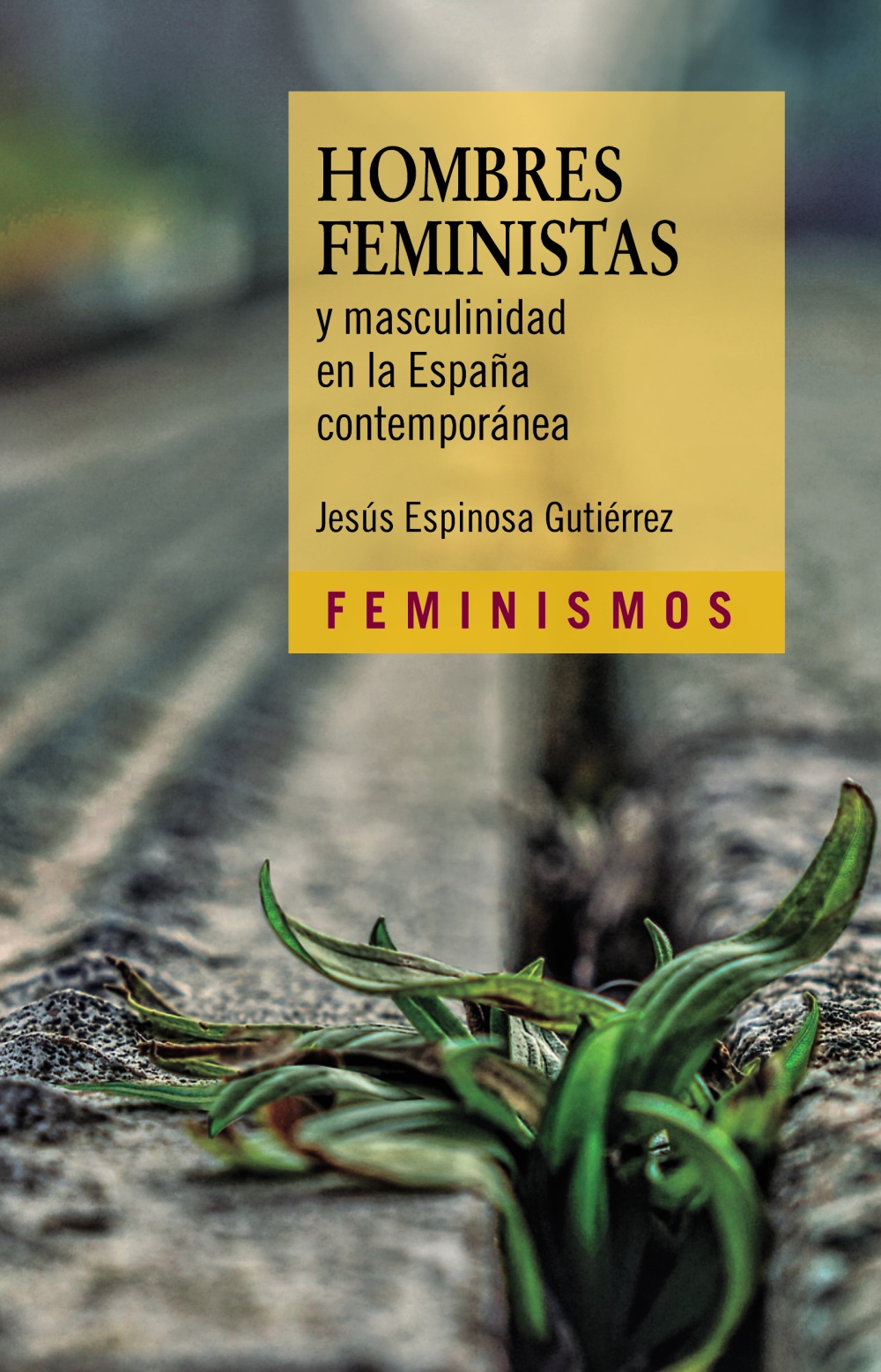 Hombres feministas y masculinidad en la España Contemporánea. 9788437645018